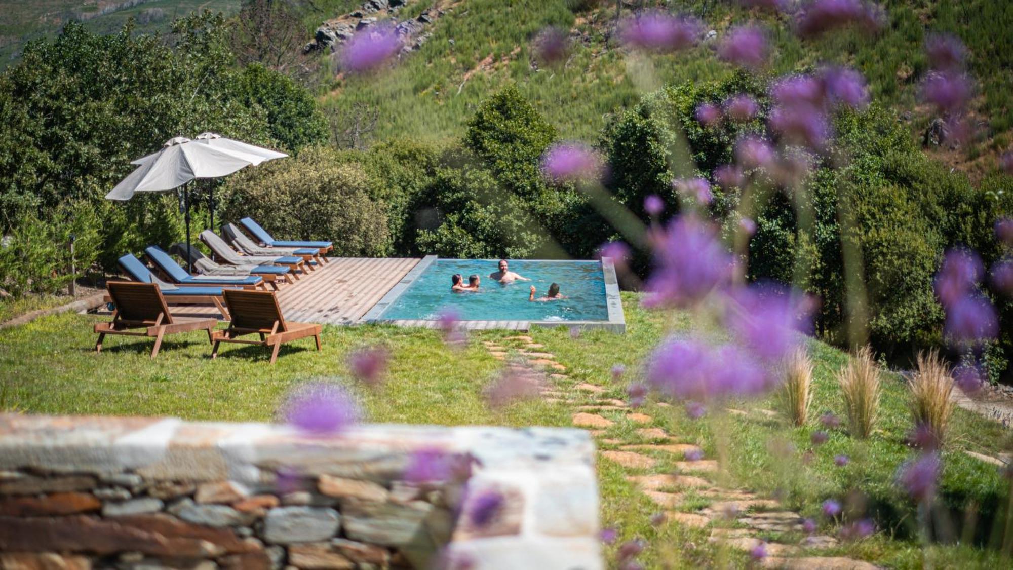 Terrasense Mountain Charm Retreat & Farm Lägenhet Videmonte Exteriör bild